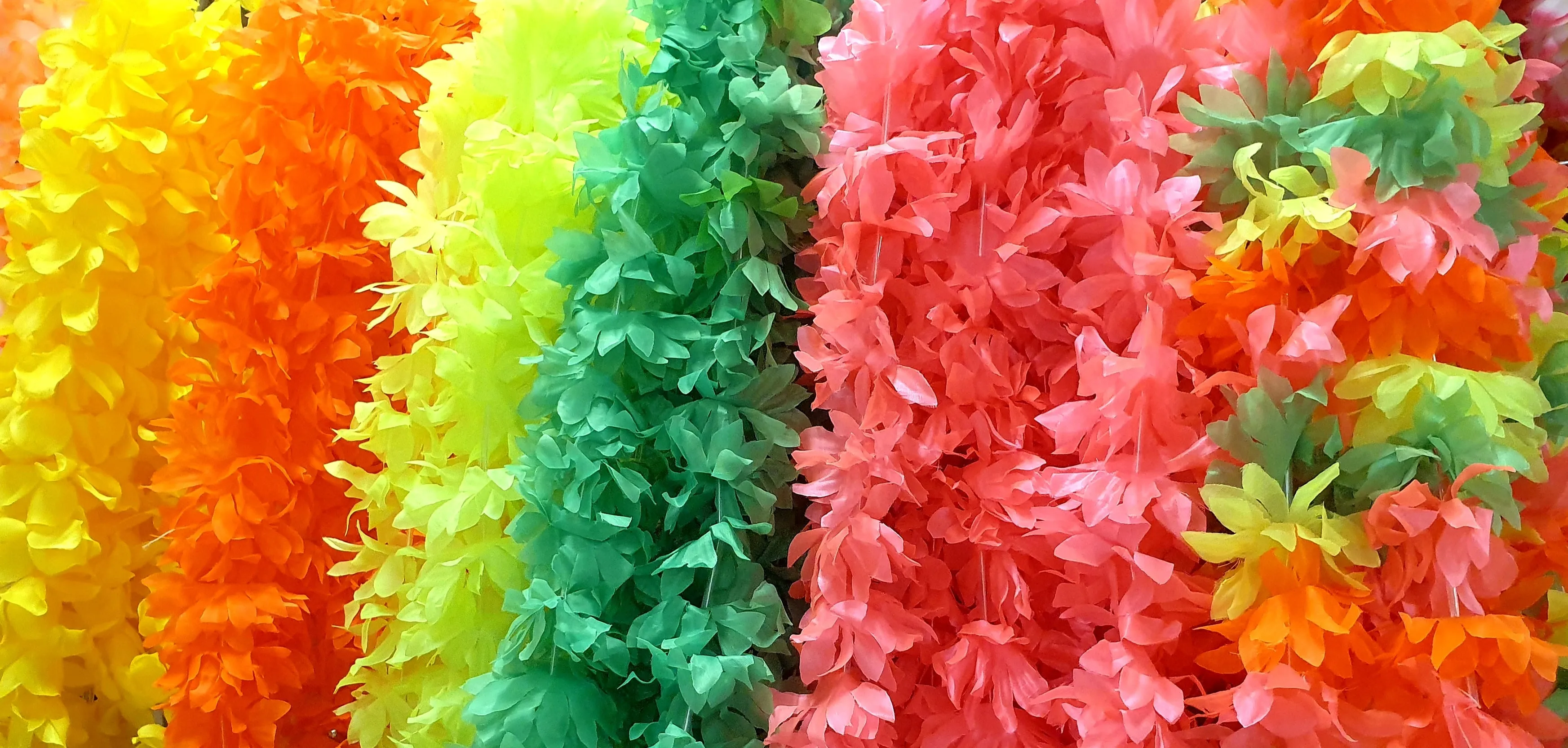 LEIS